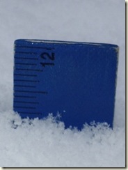 snow at 11 inches