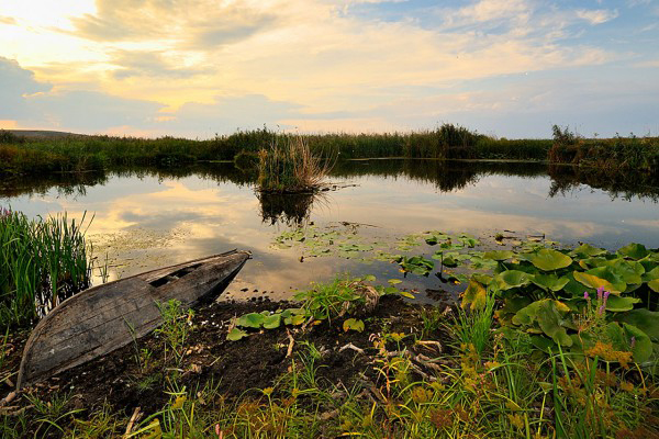 Delta Dunarii Romania