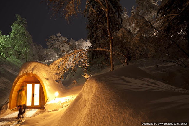 prefabricated modules produce an excellent sustainable micro home for the garden, Pod House