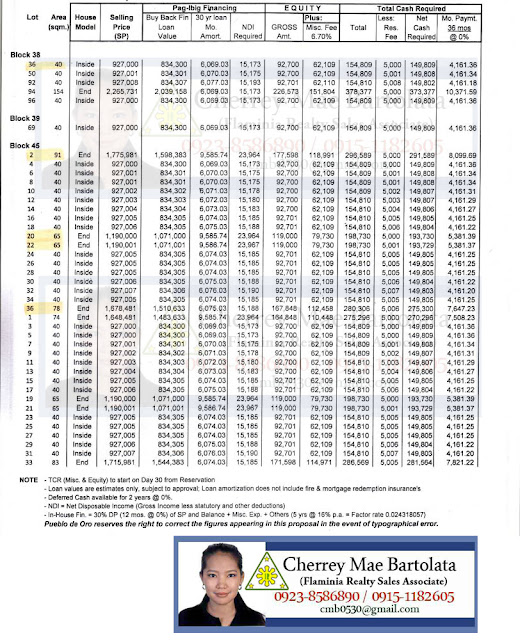 Mactan Townhouses House and Lot For Sale Cebu Affordable Pagibig