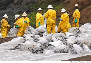 Green Jobs Promoted through the Oil Spill Clean up Efforts