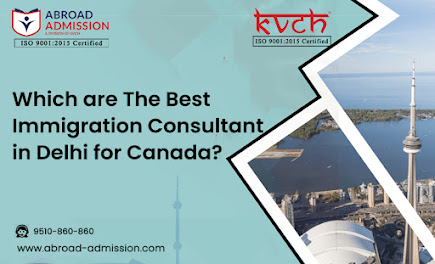 global immigration consultant