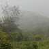 Monsoon Magic at Tadiandamol, Kodagu [Coorg] 