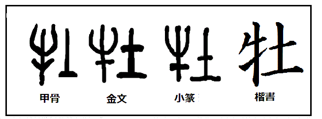 漢字考古学の道 漢字の由来と成り立ちを考古学の視点から捉える 漢字 牡 は太古の昔にはオスの牛だけを意味していたが 現代では 牡 という漢字 は動物一般の性別を総称するようになった