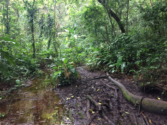 Travessia Tupinambás - Parque da Cidade