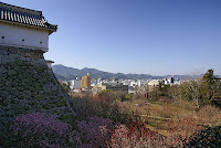 Kochi Castle