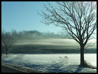 frost and fog cover the countryside