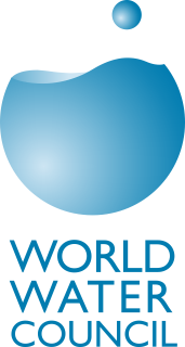 World Water Council Logo Vector Format (CDR, EPS, AI, SVG, PNG)