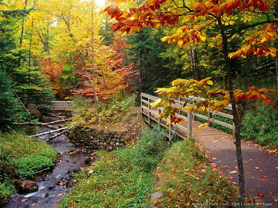 free desktop wallpapers nature free desktop wallpapers nature
