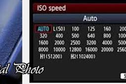 Mengenal Feature Pendukung Pada Kamera, ISO