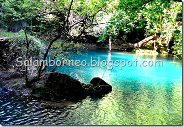 DSC_2244_Fotor