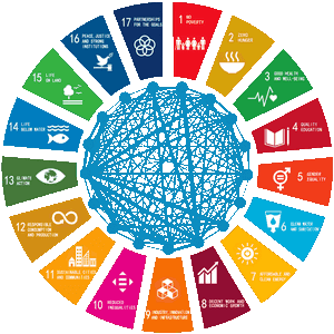 AI for Sustainable Development Goals (AI4SDGs) Think Tank