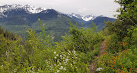 Chatter Creek trail