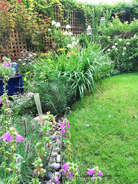 Garden, Backyard, Perennials, Small garden design, landscaping