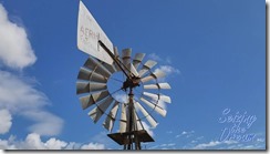 Windmill Top
