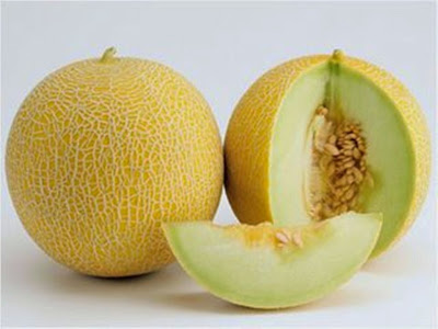 Hasil gambar untuk manfaat buah melon