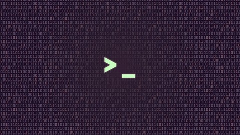 Bash Scripting and Shell Programming (Linux Command Line)