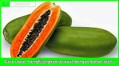 Cara cepat menghilangkan jerawat dengan bahan alami