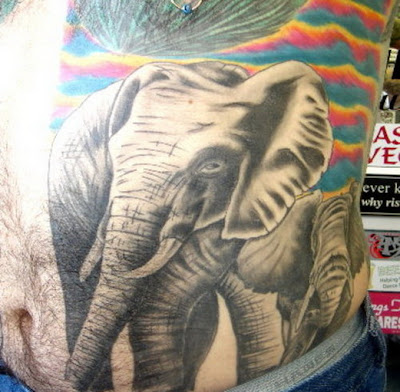 Elephant Tattoos can be very realistic or cartoon-like. The latter seems to be the preferred style. This is usually exaggerated traits such as the trunk, ears and tusks. They typically sport long eyelashes and an innocent look, and is usually seen in unusual situations, for example, have a leash, or on the lap of a pin-up model, fairy or perhaps even the carrier itself. The elephant show more realistic versions in great detail, often showing each line in his thick skin. They are usually displayed in their natural habitat, sometimes standing quietly in a field or playful splashing water, while other times they seem to charge or fight against each other.