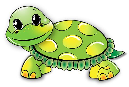 কচ্ছপ এর বিজ্ঞানিক নাম কি? What is the scientific name of the turtle?