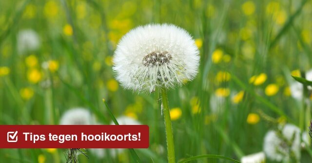 Tips tegen hooikoorts