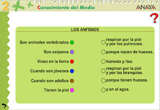 http://www.ceiploreto.es/sugerencias/A_1/Recursosdidacticos/SEGUNDO/datos/03_cmedio/03_Recursos/actividades/03/act8.htm