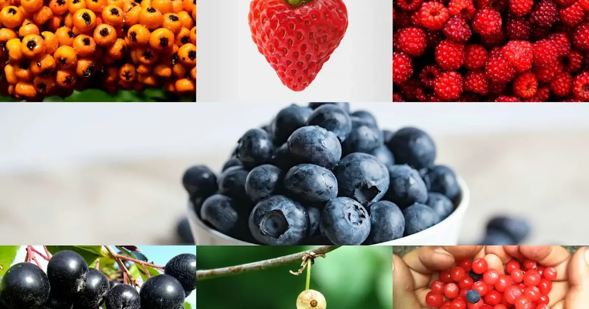Mengenal Buah Berry Berries di Seluruh Dunia Fresh Mengenal Buah Berry Berries di Seluruh Dunia Fresh