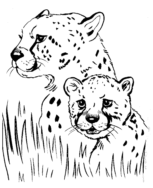 Cheetah printable kids coloring pages