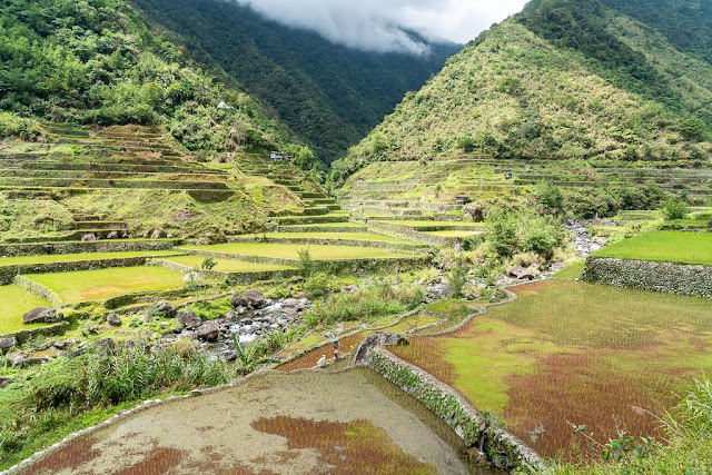 Magulon-Ifugao-Luçon-Philippines