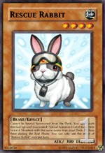 rabbit
