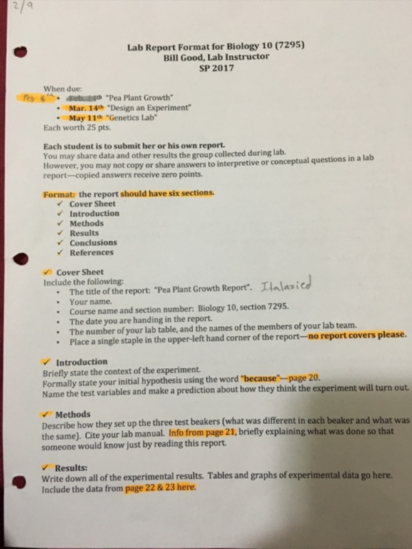 Scientific Method Lab Report Template