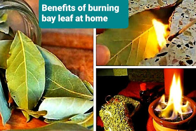 Benefits of burning bay leaf at home  فوائد حرق ورق اللورا في المنزل