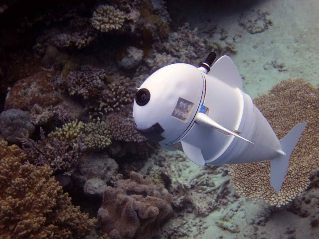 underwater robot sofi