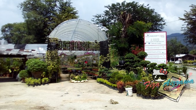 Pelbagai Bunga hiasan dan pokok hiasan di Nurseri Bunga, Sg. Buloh