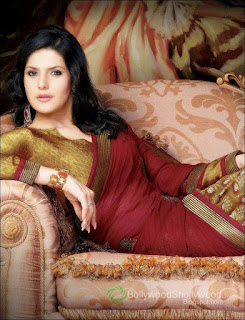 Zarine Khan Saree Photoshoot