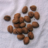 Photo of Walnuts