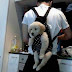 Puppy Dog Backpack