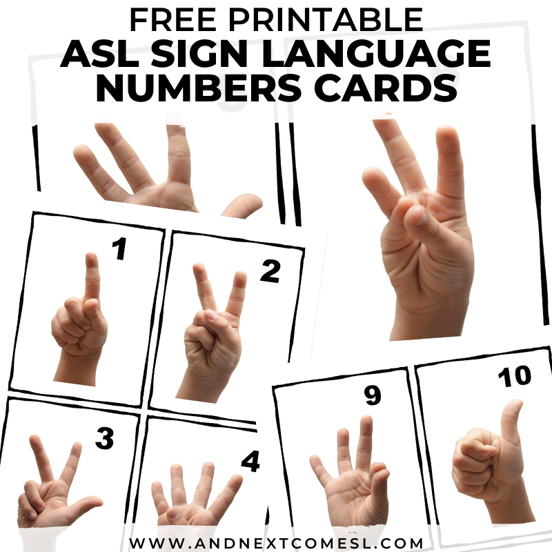 free printable asl sign language number cards poster and next comes l hyperlexia resources