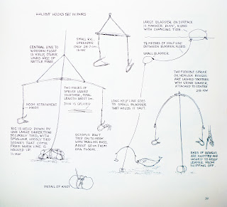 Hasil gambar untuk working principle of hook at fishing