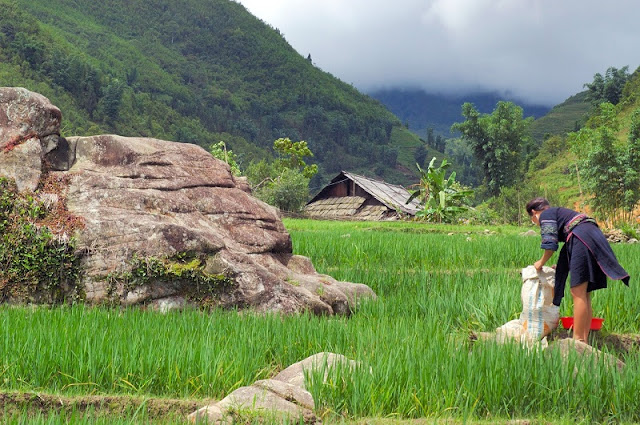 Sapa...if you are not keen on trekking?? 1