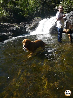 Dog´s Trekking 5 (162_1) (124)
