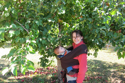 Pumpkin Patch