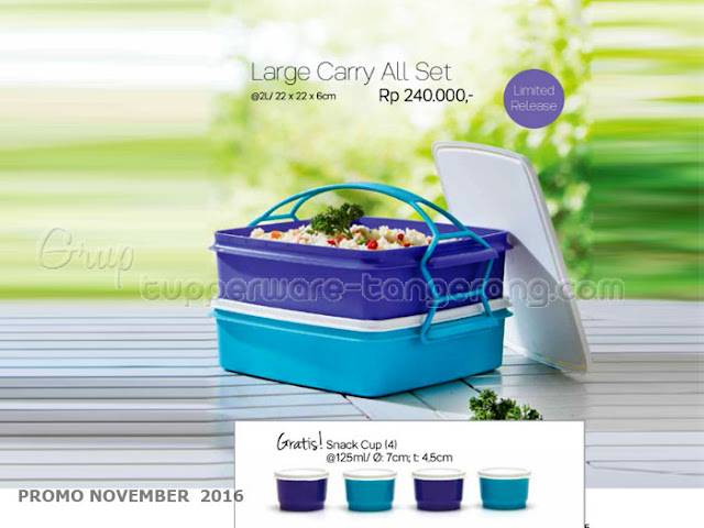 Large Carry All Set Promo Tupperware November 2016