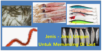 umpan mancing laut, umpan mancing, udang hidup, cacing laut, cumi-cumi