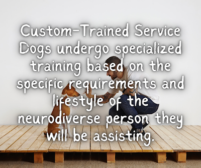Custom-Trained Service Dogs undergo specialized training based on the specific requirements and lifestyle of the neurodiverse person they will be assisting.