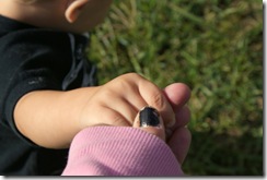 mumlukaholdhands