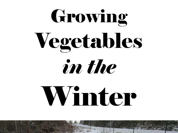 Growing Vegetables in the Winter (HINT: Start Now!)