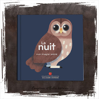 Mon imagier animé, la nuit -  Illustrations Ella Bailey  Editions Gallimard Jeunesse (2020)  - un livre pour enfant pour parler des animaux nocturnes