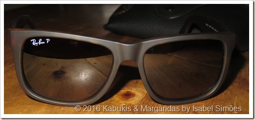 Ray Ban Justin Classic