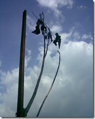 setiausaha04